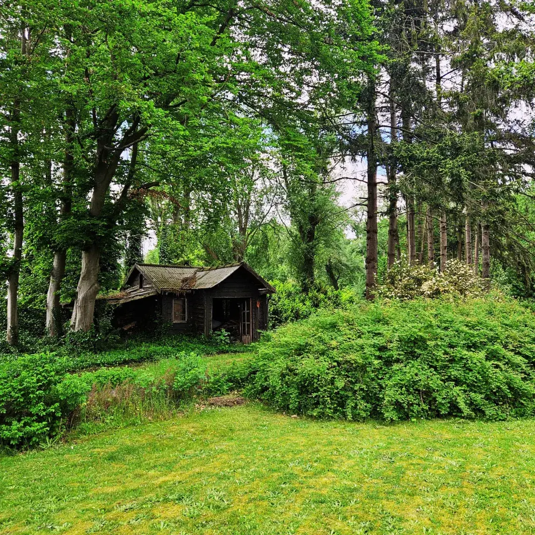 Authentieke kunstenaarswoning in een oase van rust — foto 3